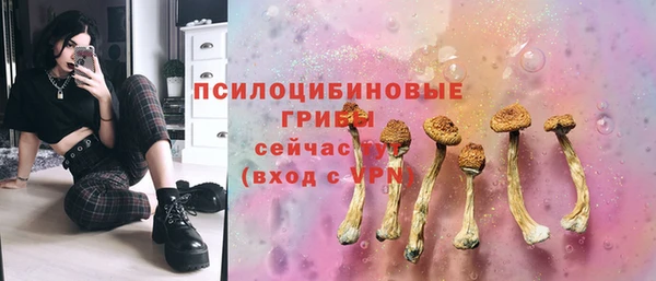2c-b Алзамай